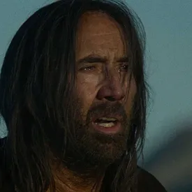 Николас Кейдж рассказал, что на съемках фильма «Сын плотника» его атаковали пчелы