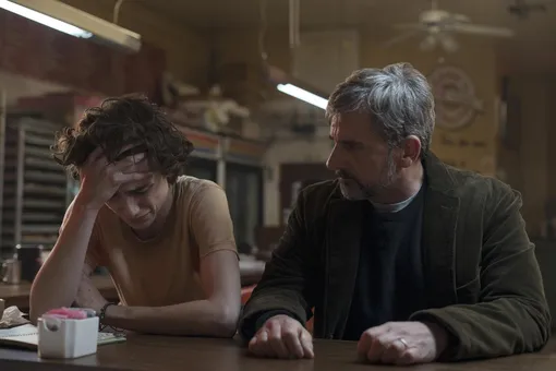 «Красивый мальчик» / Beautiful Boy (2018) 