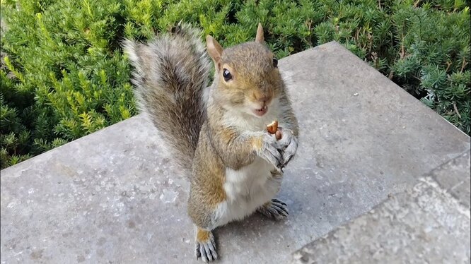 Видеоролик вызывает дискуссию