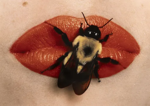 Irving_Penn. Bee on lips, 1995, частная коллекция Марианны Сардаровой