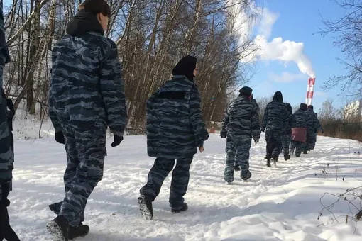 Художники в костюмах ОМОНа окружили слово «свобода», написанное на снегу. Вскоре их задержали