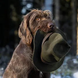 В США собака «выстрелила» в хозяина. Это произошло, когда он чистил оружие В США собака «выстрелила» в хозяина. Это произошло, когда он чистил оружие