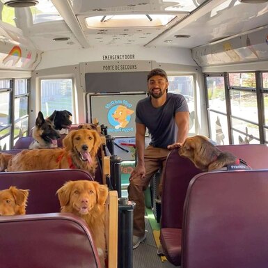 В Канаде есть необычный автобус. На нем собаки каждый день добираются в местный парк на прогулку
