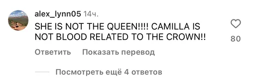 «Она не королева! Камилла не связана с королевской семьей!»