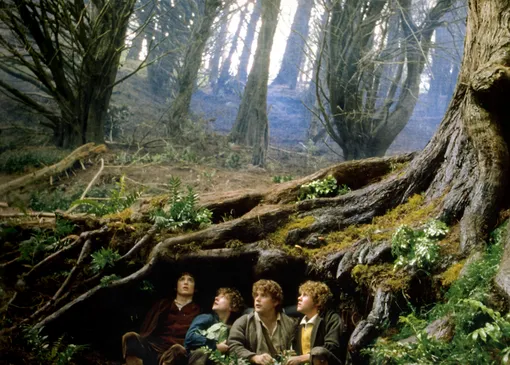 Властелин колец: Братство кольца Властелин колец: Братство кольца