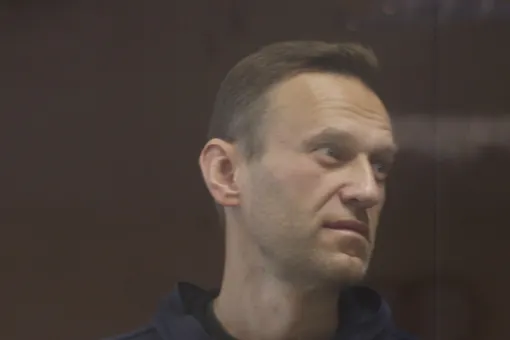 Суд оставил в силе приговор Навальному по делу о клевете на ветерана