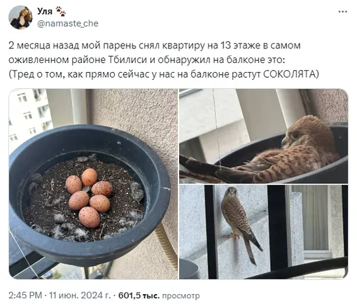 соцсети соцсети