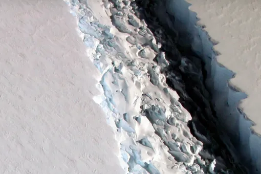 От Антарктики откололся огромный ледник площадью 6000 квадратных километров