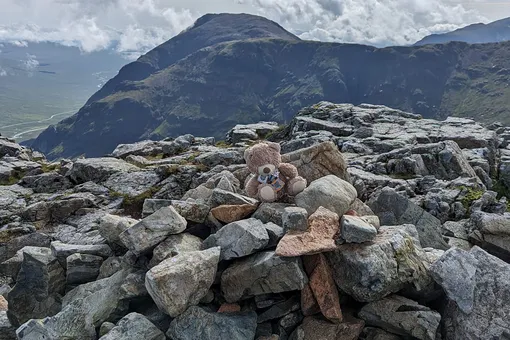 Плюшевый мишка, случайно оставленный на одной из гор Шотландии, воссоединился с хозяином