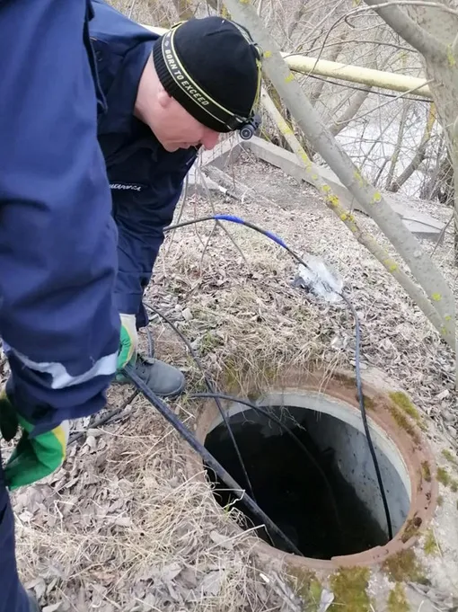 спасение бобра спасение бобра