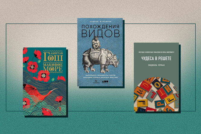 От корки до корки: 11 книг на длинные выходные От корки до корки: 11 книг на длинные выходные