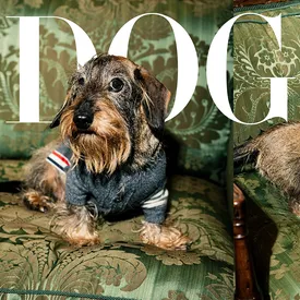 Журнал Vogue запустил проект Dogue и выпустил диджитал-обложки с собаками знаменитостей