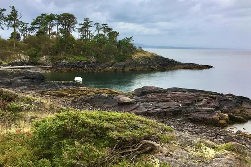 Канадские защитники природы собрали $1,7 млн на покупку острова, чтобы спасти его от застройки