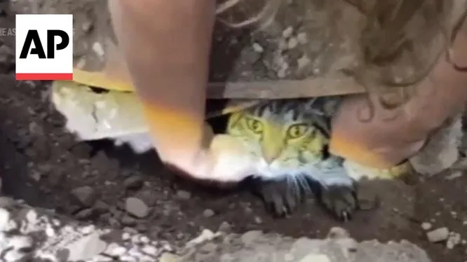 Смотреть
