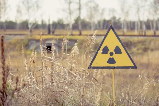 Экологи: лесные пожары в зоне отчуждения у Чернобыльской АЭС привели к вторичному радиоактивному загрязнению