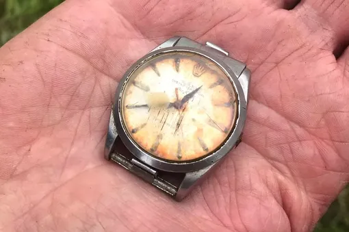 Британский фермер нашел часы Rolex спустя 50 лет. Он думал, что их съела корова Британский фермер нашел часы Rolex спустя 50 лет. Он думал, что их съела корова