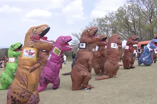Посмотрите, как проходит забег «тираннозавров» в Японии. За последние два года такие соревнования провели уже более 40 раз