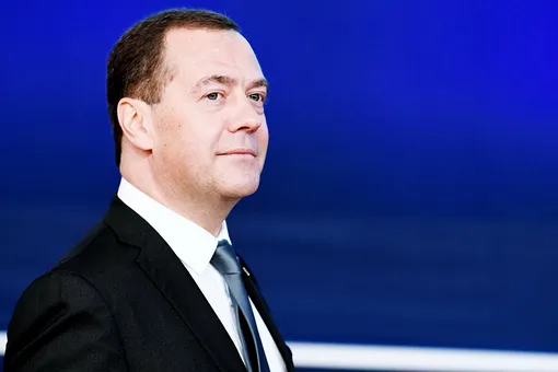 Дмитрий Медведев написал статью ко Дню Конституции: главные тезисы