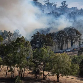 В Австралии бушуют лесные пожары. Погиб один человек, сгорели более 300 зданий