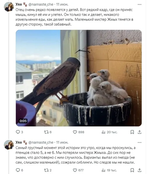 Соцсети Соцсети