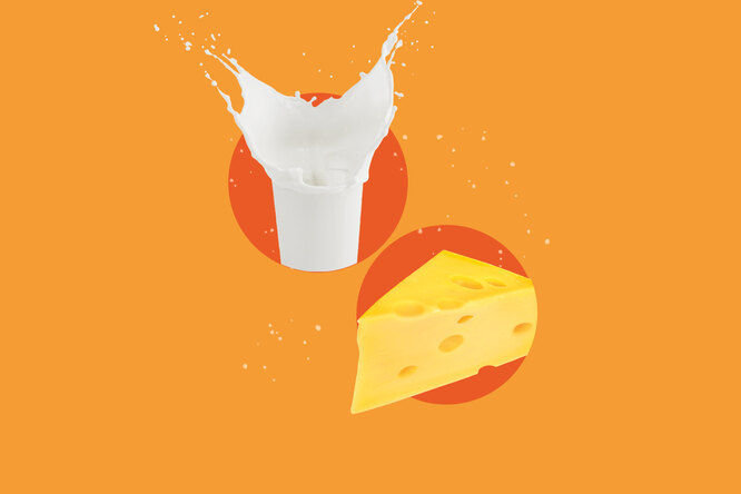Молочный сахар: что такое лактоза и нужно ли от нее отказываться