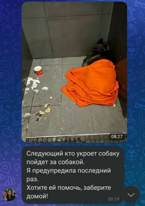 Соцсети Соцсети