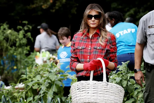 Мелания Трамп, занимающаяся садоводством в клетчатой рубашке Balmain, стала новым мемом