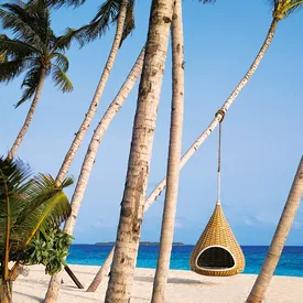 Каково это — построить свой собственный отель на Мальдивах «для души»