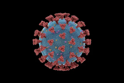 В России за последние сутки выявлено 4969 новых случаев коронавируса