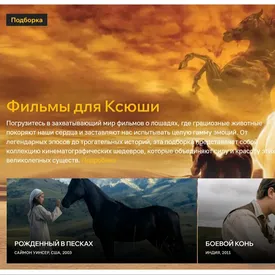 «Царьград» запустил пиратский сайт с «трофейными» фильмами. Там есть «Дюна 2» и «Кунг-фу Панда 4»