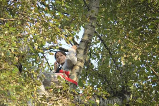На москвичку, около 10 часов протестовавшую с арбалетом на дереве против стройки возле парка, завели уголовное дело