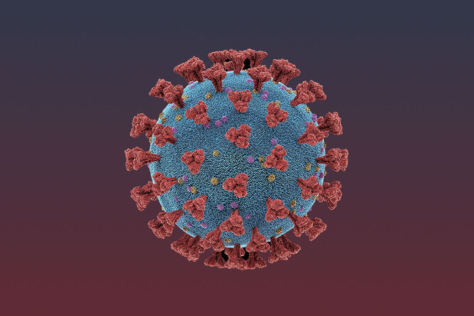 В России выявили 57 212 случаев коронавируса за сутки — это максимум за всю пандемию