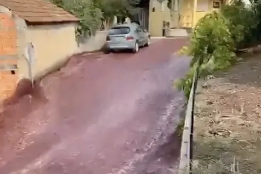 Винные реки: улицы португальского города затопило красным вином после аварии на местном заводе