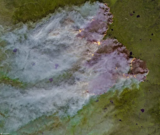 Распространение лесных пожаров в Якутии, снимок с дрона.