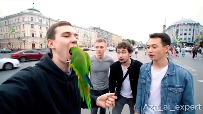 Смотреть