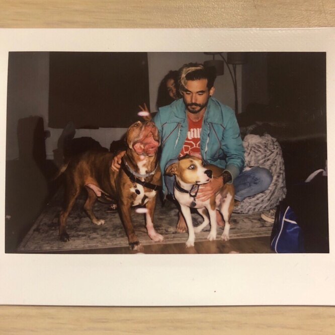 Барри со своей женой и собаками Джейсоном и Рокси.