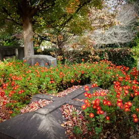 Суд в Китае обязал любовницу вернуть жене $2 млн, подаренные ее покойным мужем