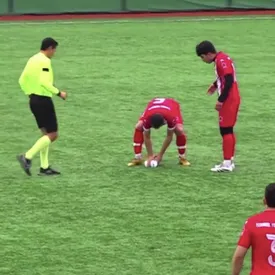 Во время матча в Турции футболист случайно сбил чайку мячом. Капитан команды сделал птице непрямой массаж сердца