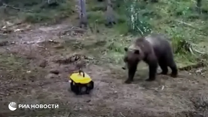 Смотреть