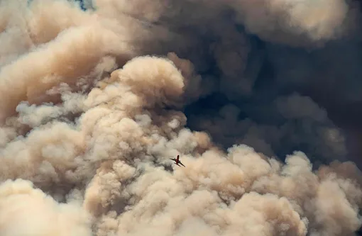 Пожарный самолет, борющийся с пожарами в Калифорнии.