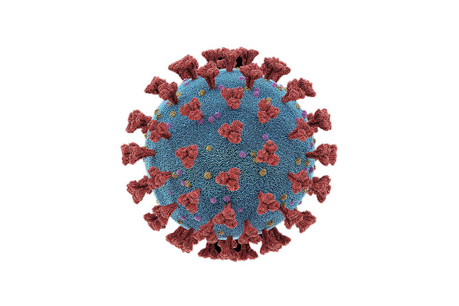 ВОЗ: Россия может избежать европейского сценария распространения коронавируса