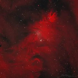 «Роскосмос» опубликовал фото «Рождественской елки» из космоса