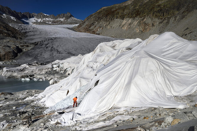 Мужчина трудится на Ронском леднике, покрытого километрами специальной белой ткани для защиты от солнца.