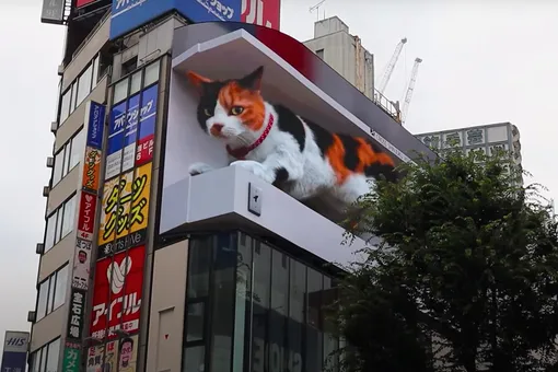 В Японии на торговом центре появился огромный мяукающий 3D-кот. Это билборд!