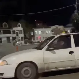 Житель Сочи перевозил на крыше автомобиля двух совокупляющихся енотов. Водителя задержали и выписали ему штраф