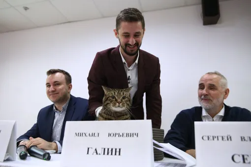 Кот Виктор на пресс-конференции о проблеме авиаперевозок животных Кот Виктор на пресс-конференции о проблеме авиаперевозок животных