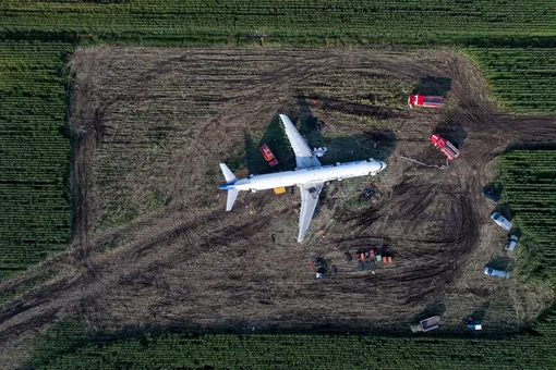«Интерфакс»: черные ящики самолета «Уральских авиалиний», приземлившегося в кукурузном поле, зафиксировали столкновение со стаей птиц