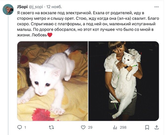 Соцсети Соцсети