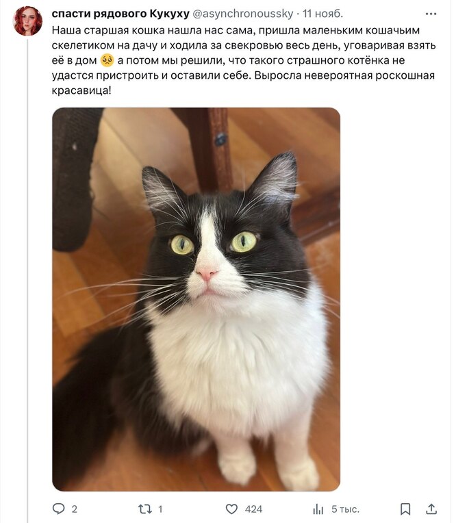 Соцсети Соцсети
