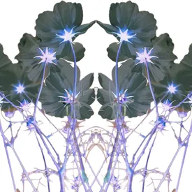 Достать чернил и плакать: как пережить февраль и дождаться весны. Советы психолога Достать чернил и плакать: как пережить февраль и дождаться весны. Советы психолога